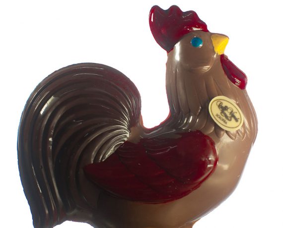 Cioccolato (gallo)